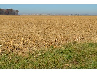 Tract 1 - FARMLAND AUCTION - 165.5+/- ACRES OFFERED IN 5 TRACTS OR COMBINATIONS IN EAST ALLEN COUNTY